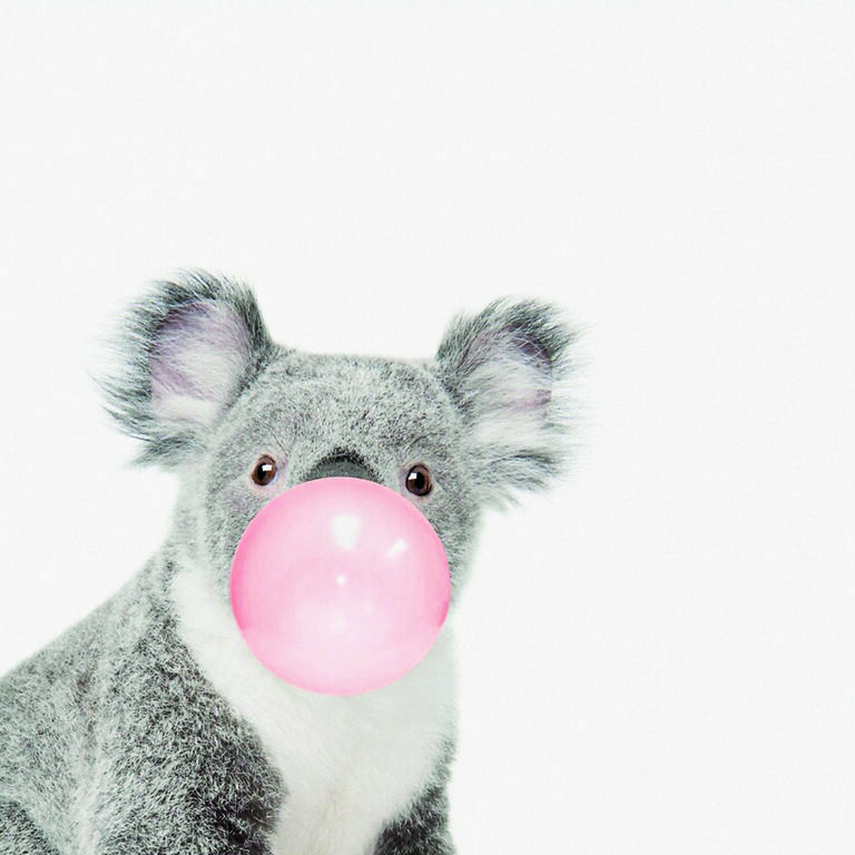 Koala con goma de mascar