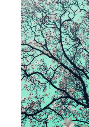 Flores primaverales bajo un cielo azul