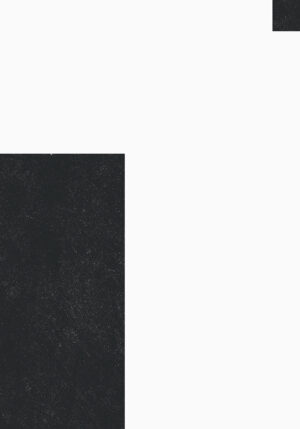 Diseño minimalista en blanco y negro