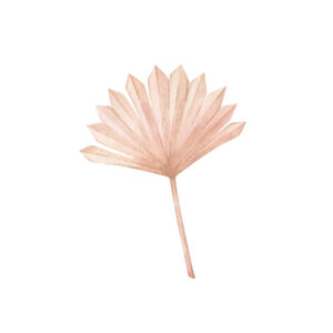 Hoja de palmera boho minimalista y elegante