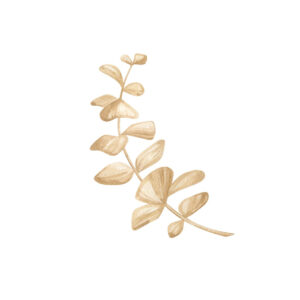 Ilustración minimalista de eucalipto en beige