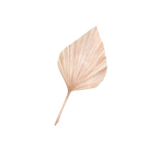 Ilustración minimalista de hoja tropical neutra