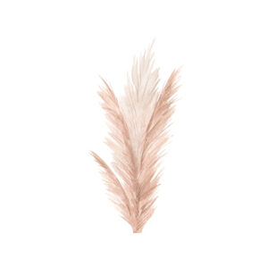 Delicada ilustración de pampas en tonos beige
