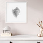 Arte de concha minimalista en blanco y negro