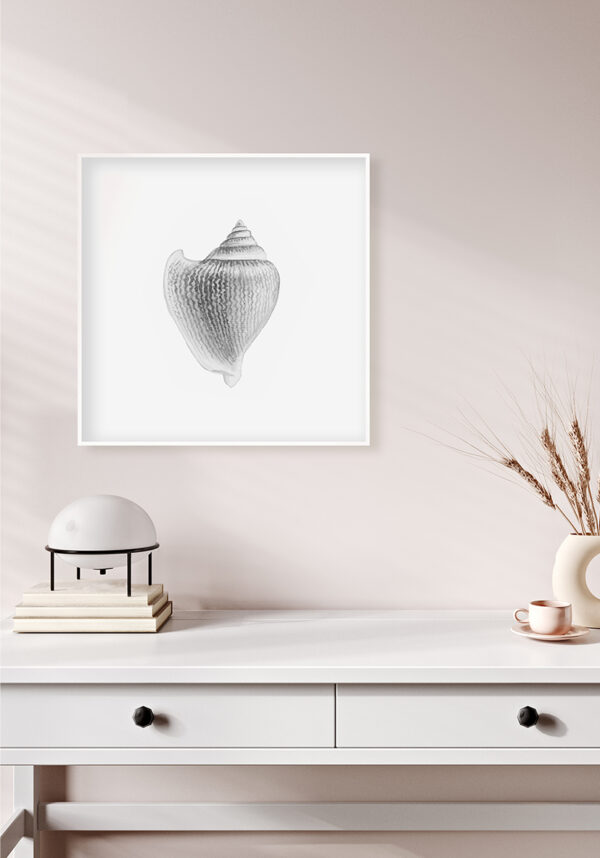 Arte de concha minimalista en blanco y negro