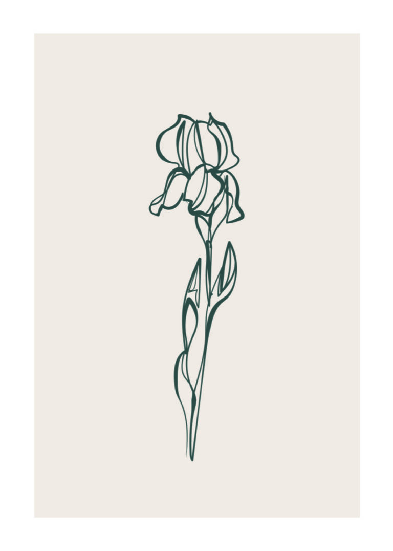 Boceto floral minimalista en línea