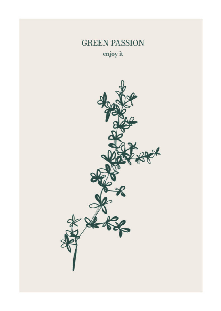 Ilustración natural minimalista en tonos monocromáticos
