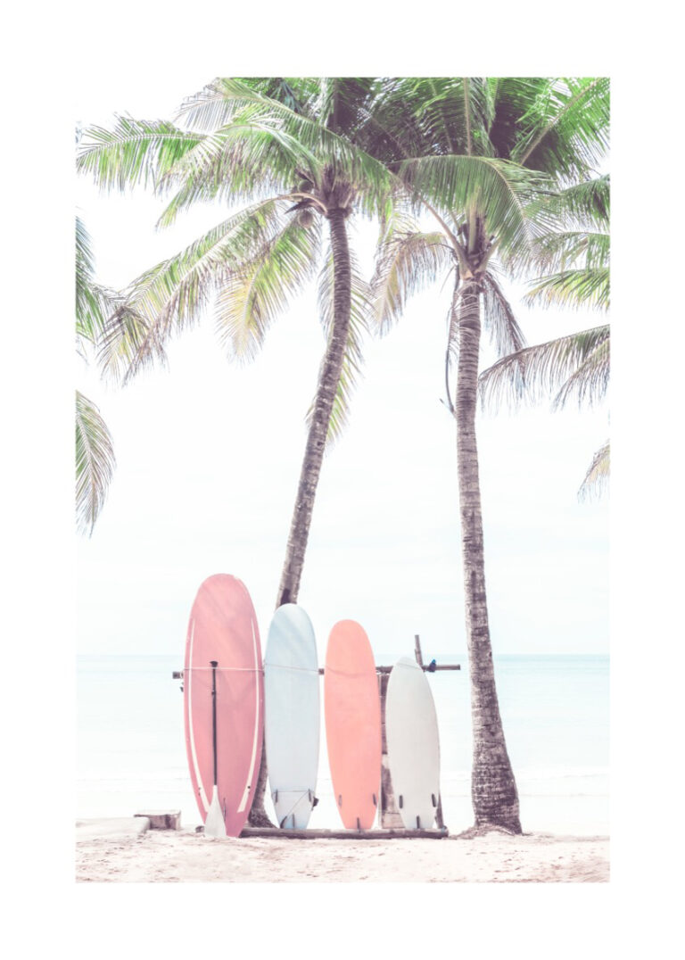 Tablas de surf junto a palmeras en la playa