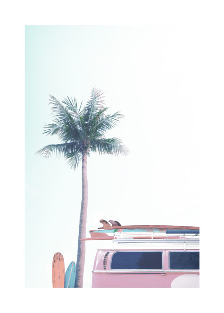 Furgoneta surfer junto a una palmera