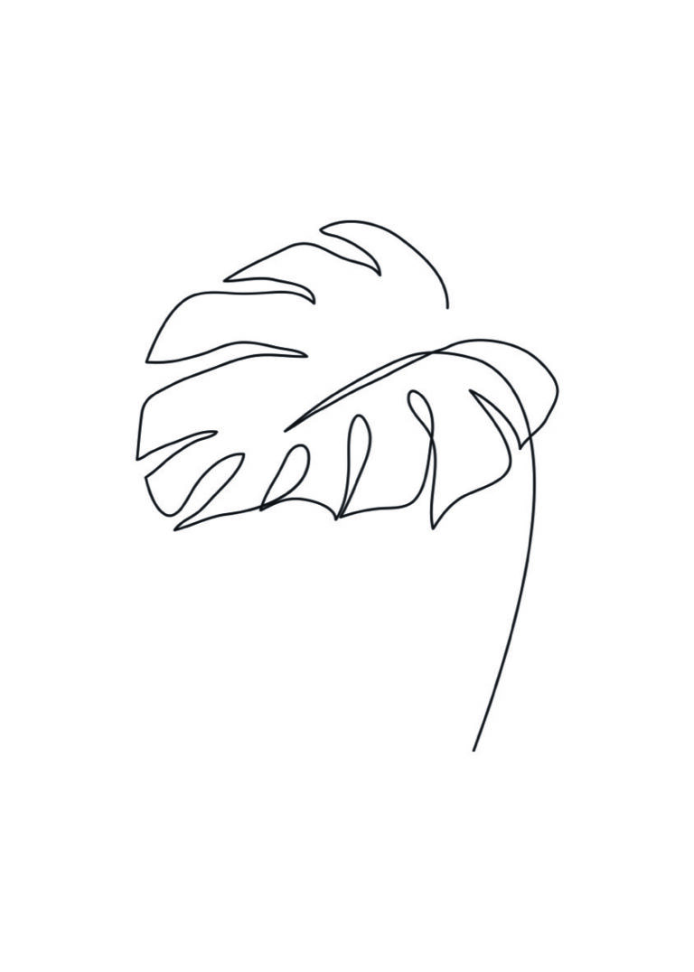 Dibujo lineal minimalista de hoja de monstera