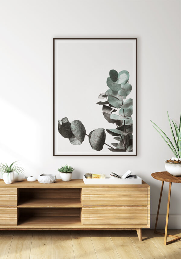 Hojas minimalistas de eucalipto sobre blanco
