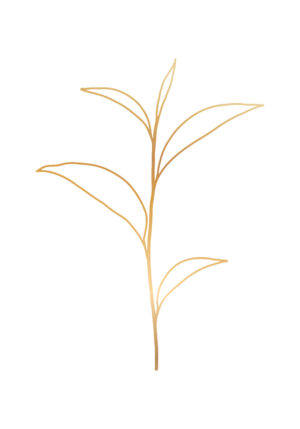 Ilustración minimalista de hoja dorada