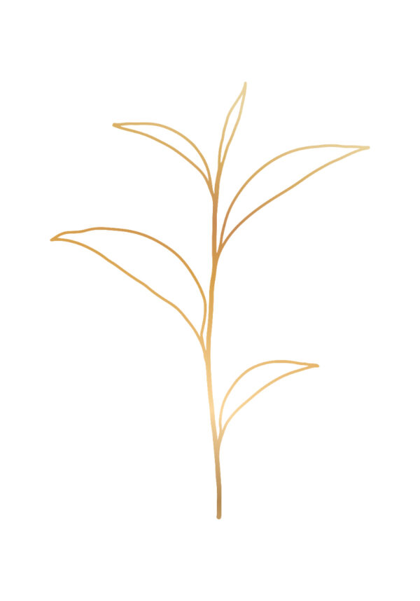 Ilustración minimalista de hoja dorada