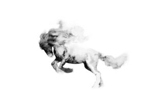 Arte de caballo en tinta negra abstracta