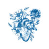 Ilustración detallada de corazón floral azul