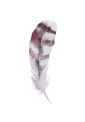 Pintura elegante de pluma en acuarela