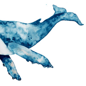 Pintura abstracta de ballena en acuarela