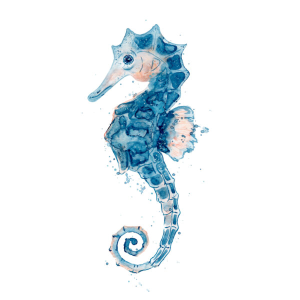 Ilustración de caballito de mar azul en acuarela