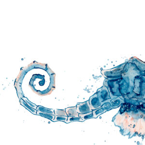 Obra de detalle de caballito de mar abstracto en tonos azules