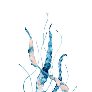 Diseño acuático abstracto en acuarela