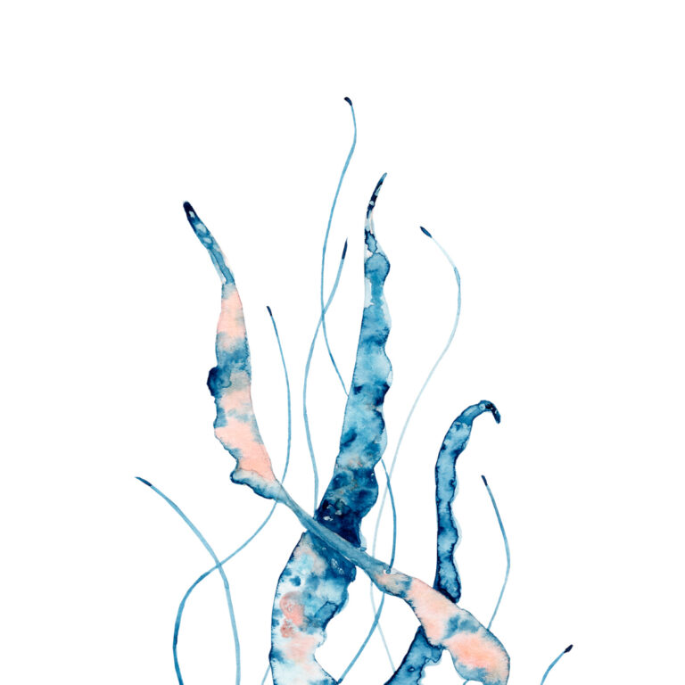 Diseño acuático abstracto en acuarela