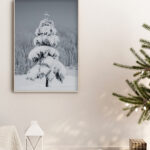 Árbol cubierto de nieve en paisaje invernal
