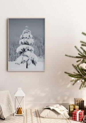 Árbol cubierto de nieve en paisaje invernal