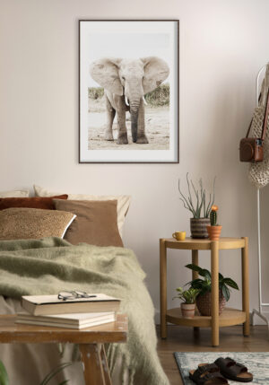Retrato majestuoso de un elefante
