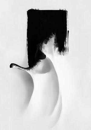 Arte abstracto en blanco y negro minimalista