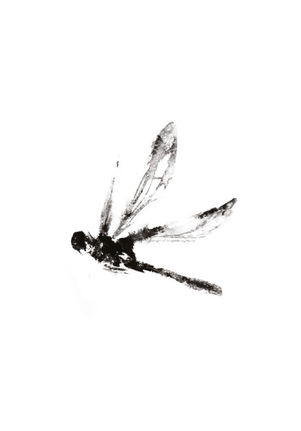 Ilustración natural de libélula en tinta
