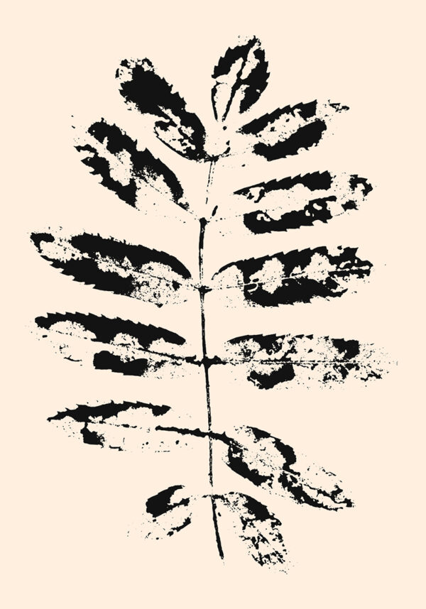Impresión botánica minimalista