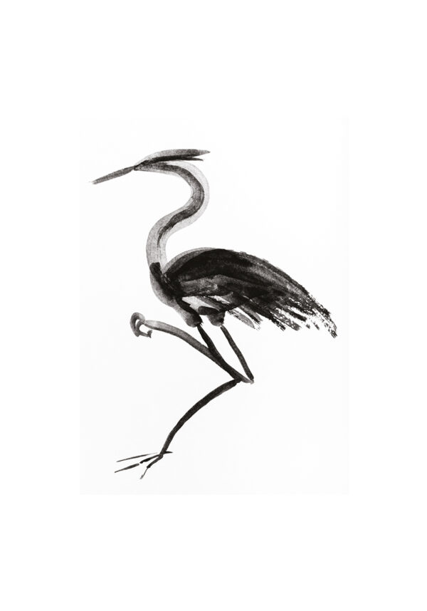 Ilustración elegante de garza en tinta