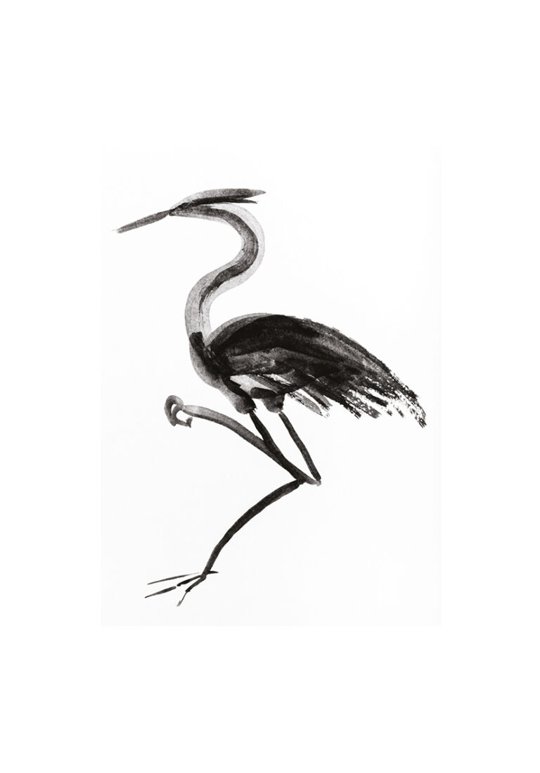 Ilustración elegante de garza en tinta