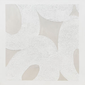 Abstracción Minimalista con Texturas y Formas Orgánicas