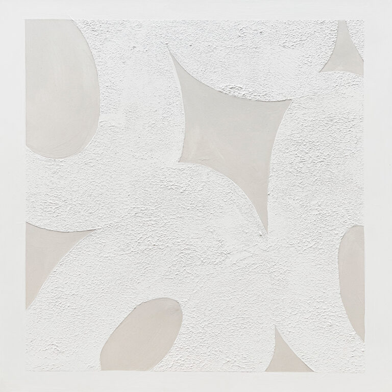 Abstracción Minimalista con Texturas y Formas Orgánicas