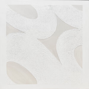 Texturas Blancas y Formas Orgánicas para Interiores Serenos y Modernos