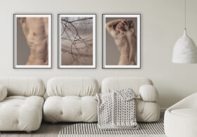 Láminas abstractas de desnudos y arte natural