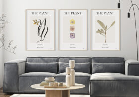 Láminas botánicas minimalistas sobre sofá