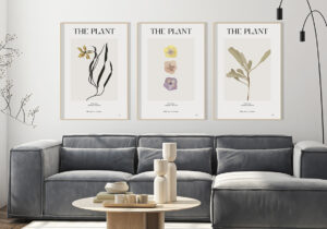 Láminas botánicas minimalistas sobre sofá