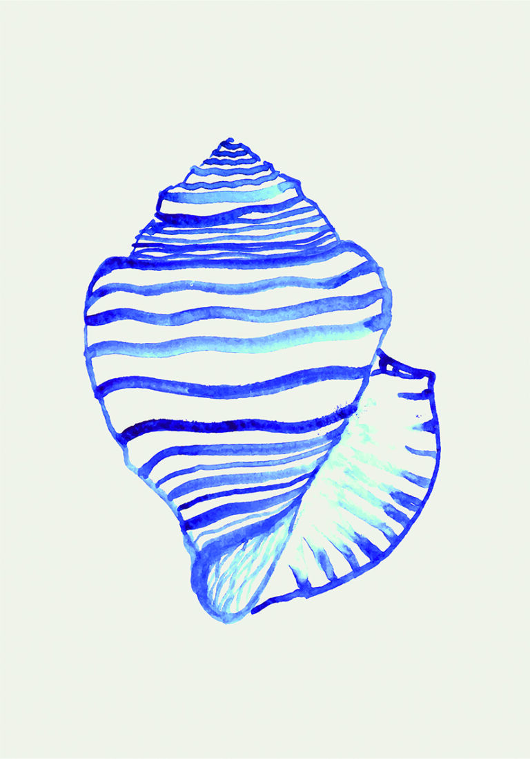 Ilustración Acuarela de Concha Marina Azul