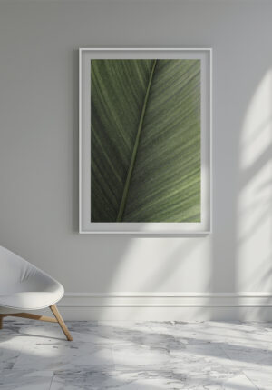 Primer Plano de Hoja Tropical Verde Intensa