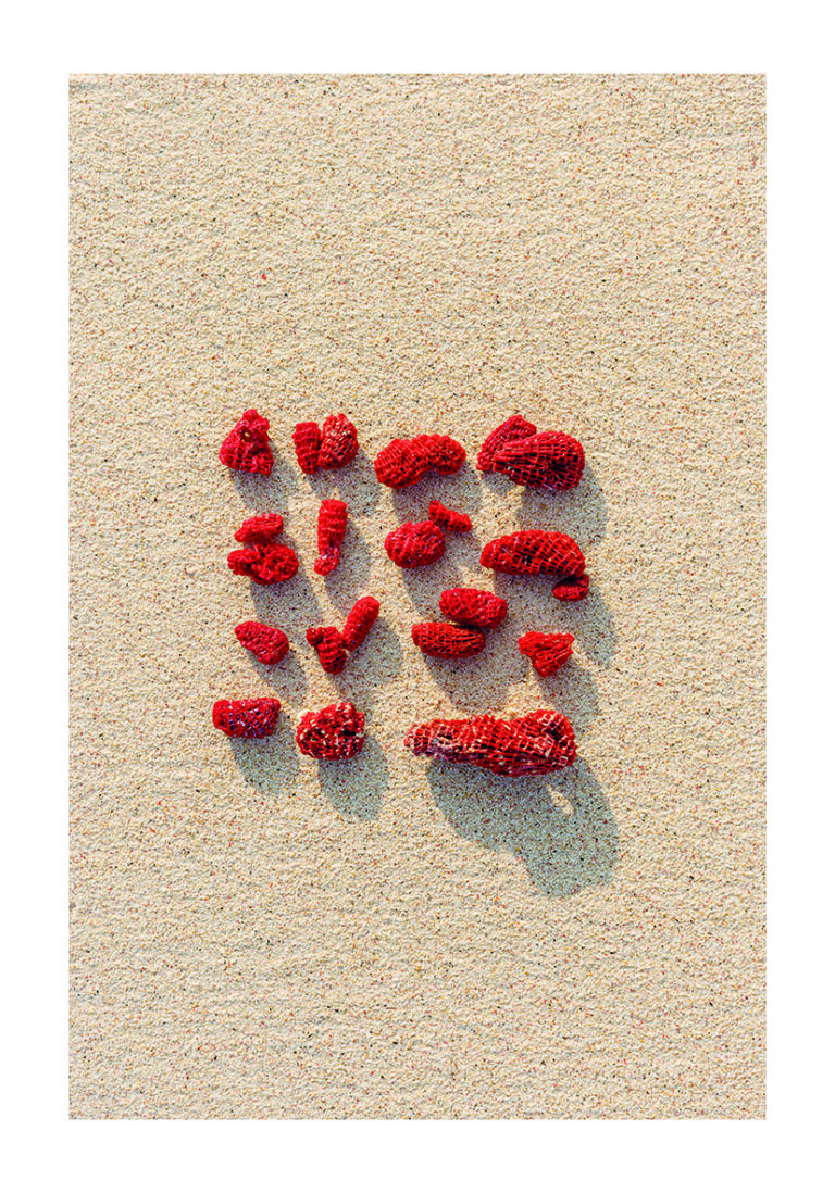 Fragmentos de Coral Rojo sobre Arena