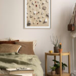 Conchas y Corales en Playa Arenosa