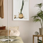 Cactus en Maceta de Terracota al Exterior