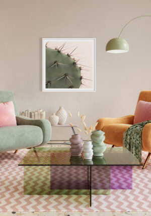 Primer Plano de Espinas de Cactus Verde