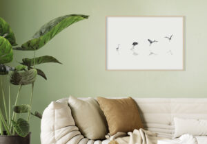 Ave Acuática Elegante en Escena Minimalista