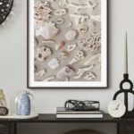 Colección de Corales Marinos con Textura