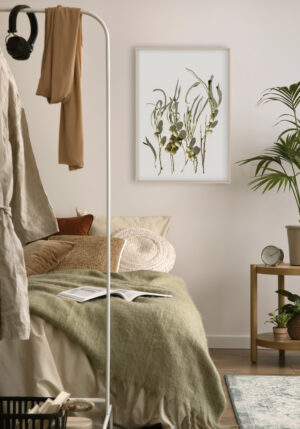 Ramas de Olivo con Sombras