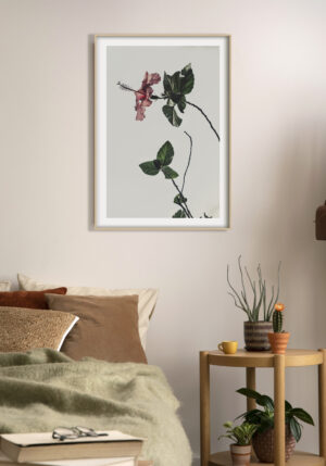 Flor de Hibisco Rosa con Hojas Verdes