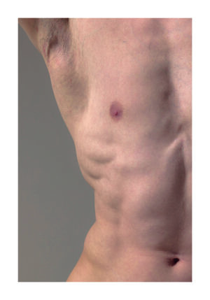 Torso Masculino con Musculatura Definida